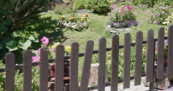 Beautiful Flower Garden Home Hilly Landscape Zermatt Switzerland — Stock Video