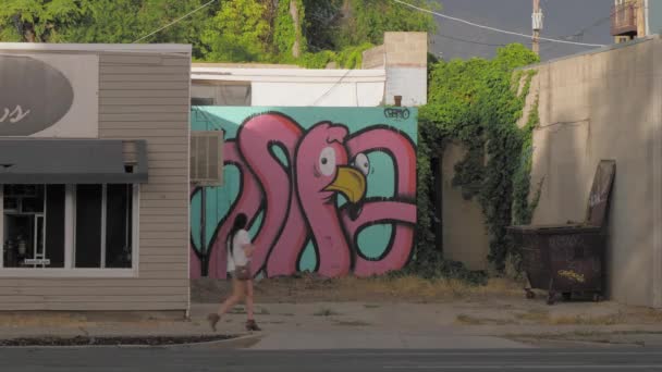 Woman Walking Mural Dumpster Rundown Urban Setting — Wideo stockowe