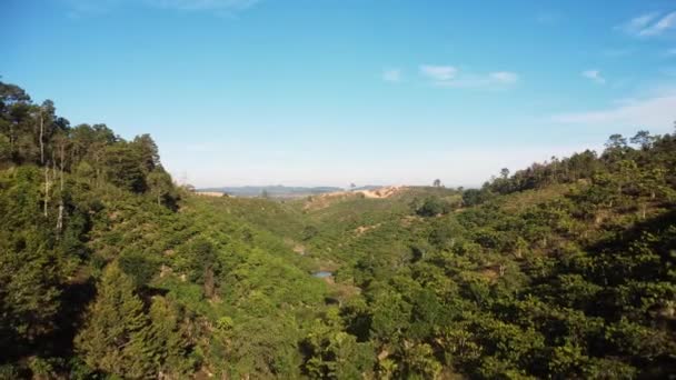 Aerial Drone Forward Moving Shot Coffee Plantation Valley Tanang Vietnam — Stock video