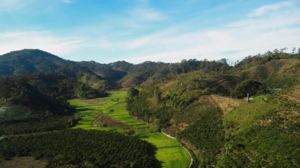 Majestic Coffee Plantation Rice Terraces Vietnam Mountain Landscape — Vídeos de Stock