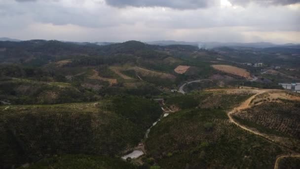Aerial Drone Shot Green Coffee Plantation Hilly Terrain Tanang Vietnam — Stockvideo
