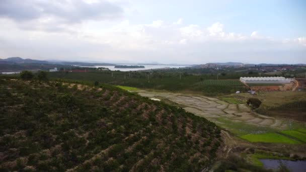 Industrial Coffee Plantation South Vietnam Aerial Drone Orbit View — Vídeos de Stock