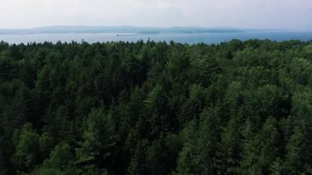 Aerial Scenic Shot Lush Green Forest Coastal Landsape Maine United — Stok Video