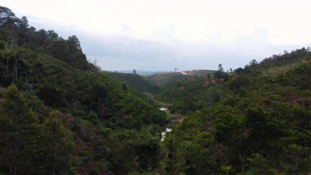 Magical Coffee Plantation Valley Vietnam Lat Aerial View — Stok video