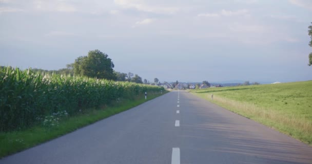 Centered Angle Slow Moving European Road Large Corn Field Golden — стокове відео