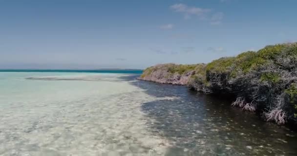 Aerial Landscape Tropical Mangrove Surrounded Clear Sea Water Drone Move — Vídeo de Stock