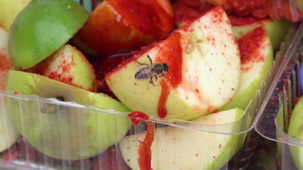 Small Bee Feeding Chamoy Spilled Apples — Vídeo de stock