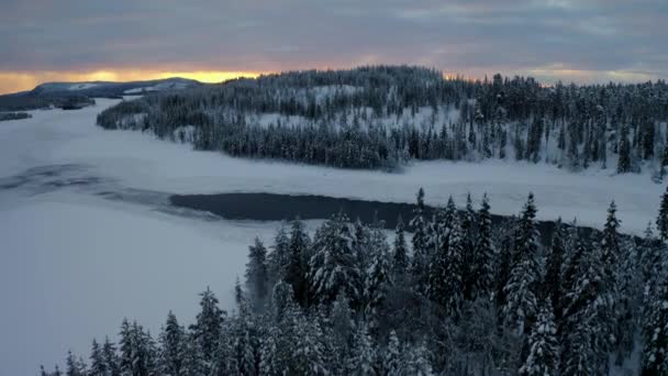 Beautiful Aerial View Rising Snowy Lapland Sweden Winter Landscape Forest — Stock video