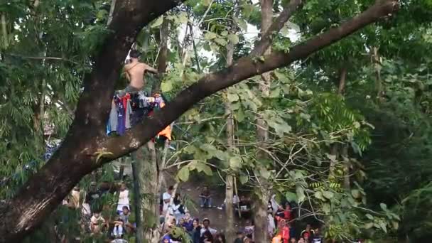 Central Java Indonesia June 2022 Panjat Pinang Greasy Pole River — Stock videók