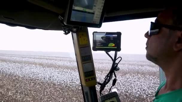 Gathering Cotton Tractor Harvester Picker Brazil — Vídeo de Stock