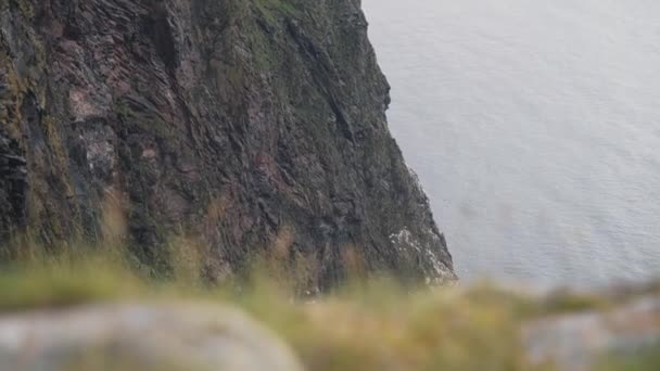 Steep Runde Island Cliff Side Flying Sea Sole Birds Nesting — Stockvideo