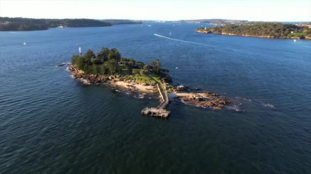 Sydney Aerial View Shark Island — Vídeo de stock