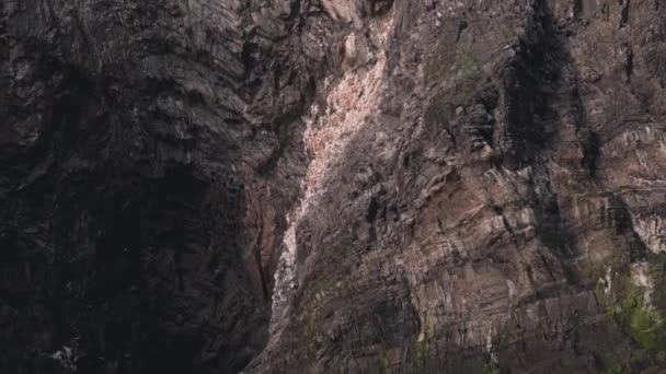 Deep Dark Rock Cave Bird Colony Flying Nesting Handheld View — Stock video