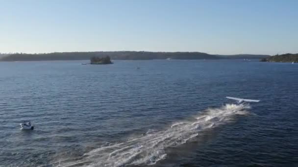 Sydney Seaplane Taking Rose Bay — Vídeo de stock