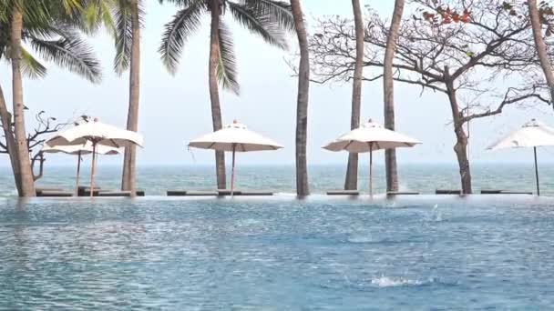 Row Umbrellas Chairs Swimming Pool Hotel Shade Exotic Palm Trees — Stock video