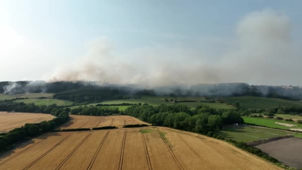 Forest Fire Filmed Slapewath Charltons Guisborough Teesside Just Broke Out — Vídeo de stock