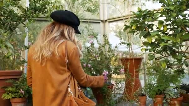 Woman Glass House Touches Plant Does — Stok video