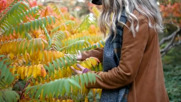 Woman Feeling Leafs Some Colourful Autumn Bushes — Stockvideo