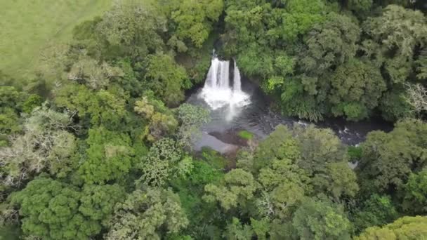 Beautiful Waterfall Drone View Veracruz Mexico — Video Stock