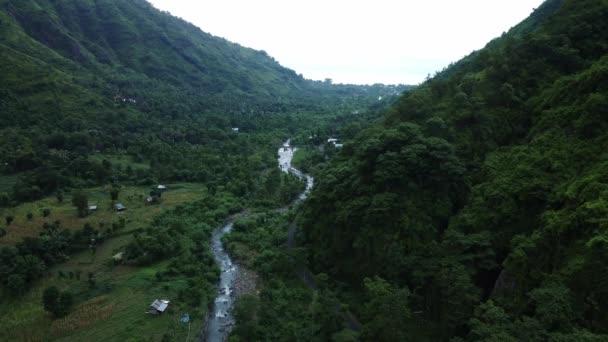 Rivière Aérienne Entre Forêt Verte Côté Route Amed Bali Drone — Video