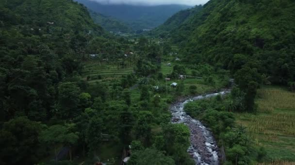 Řeka Silnice Údolí Rýžovém Poli Zelený Les Amed Bali Drone — Stock video