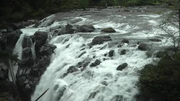バンクーバー島の英国人川の豪華で野生の滝 — ストック動画