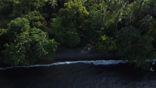 Aerial Moving Wave Rural Coastline Bali — Vídeos de Stock