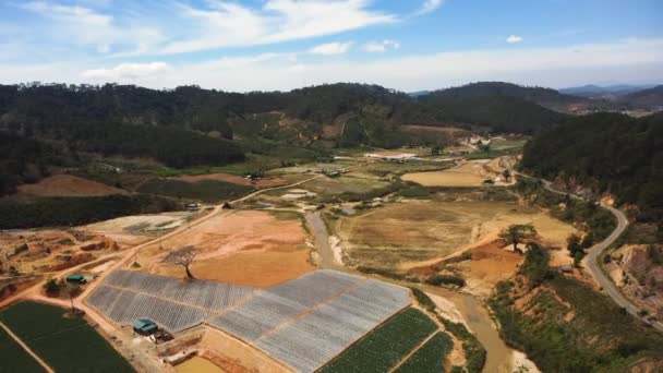 Scene Farmland Lam Dong Sunny Day Aerial Circling — Wideo stockowe