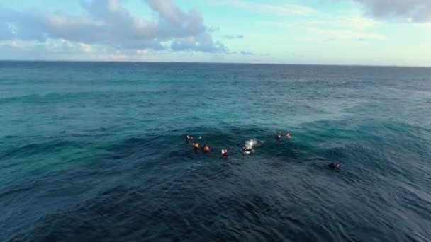 Aerial Pullout Bodyboarder Drop Knee Surfing Wave Oahu Hawaii — Vídeos de Stock