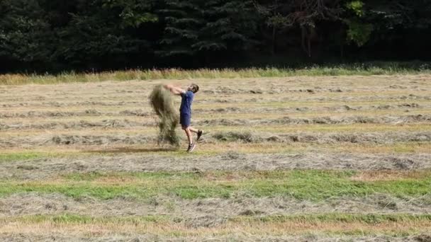 Young Boy Throwing Grass Hay Air Freshly Cut Field — Vídeo de Stock