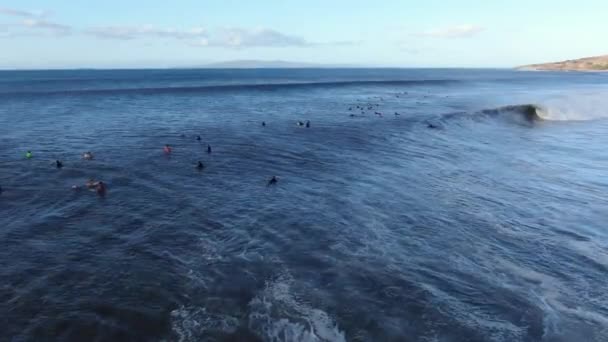 Static Shot Surfers Catching Huge Waves Record Swell Maalaea Maui — Stock Video