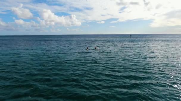 Aerial Pullout Shot Two Canoes Paddling Shore — Stock video