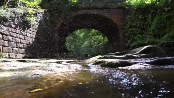 Mosquito Infestation Eerie Flowing River Rocks Exposed Stone Brick Bridge — Video Stock