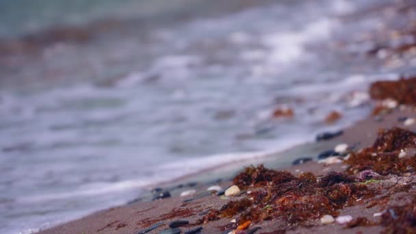 Close Beach Coastline Focus Sand Pebbles — Vídeos de Stock