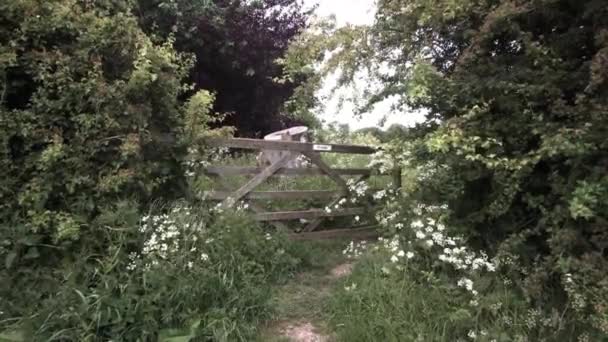 Old Wooden Farm Gate Blocking Path Overgrown Field Rural England — ストック動画