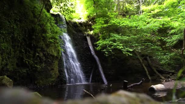 Cascading Waterfall Deep Lush Green English Forest — Wideo stockowe