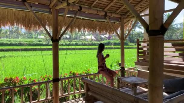 Pov Walking Female Tourist Enjoying Drink Sitting Railing Looking Out — Stok video