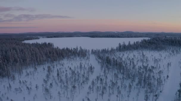 Aerial View Pull Away Sunrise Frozen Norbotten Woodland Lapland Winter — Vídeo de Stock