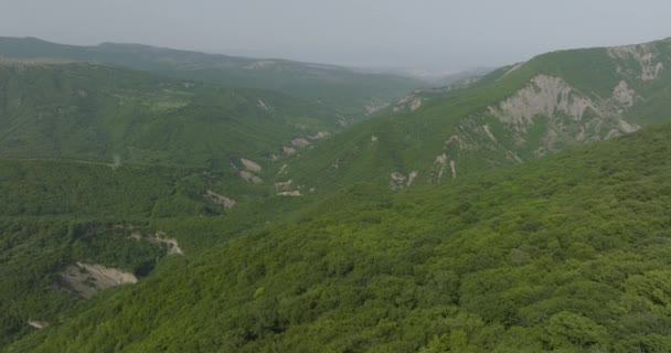 Aerial Shot Revealing Small Orthodox Church Middle Wilderness — 비디오