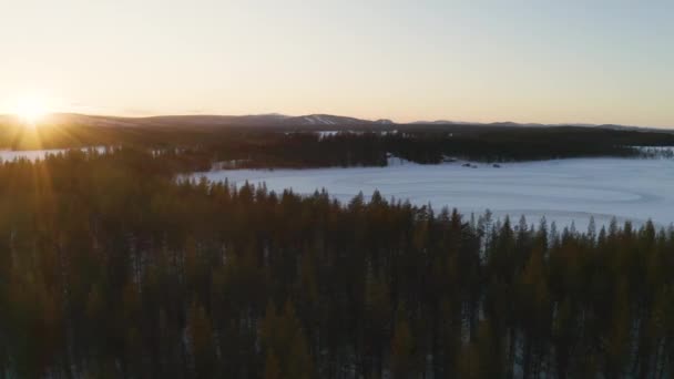 Glowing Sunrise Aerial View Orbiting Frozen Norbotten Lapland Winter Forest — Vídeo de Stock