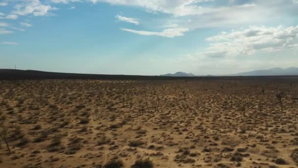 Flat Basin Mojave Desert Dotted Joshua Trees Distant Mountains Aerial — Stock video