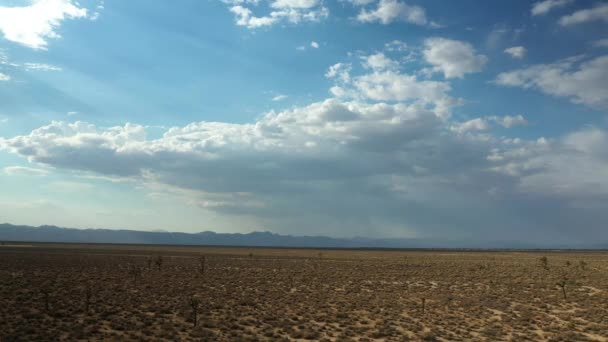 Cinematic View Mojave Desert Basin Joshua Trees Growing Barren Landscape — Vídeo de Stock