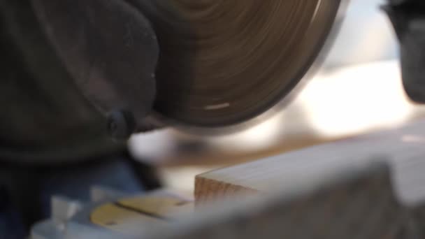 Circular Saw Blade Cutting Wood Plank Close Slow Motion — Stockvideo