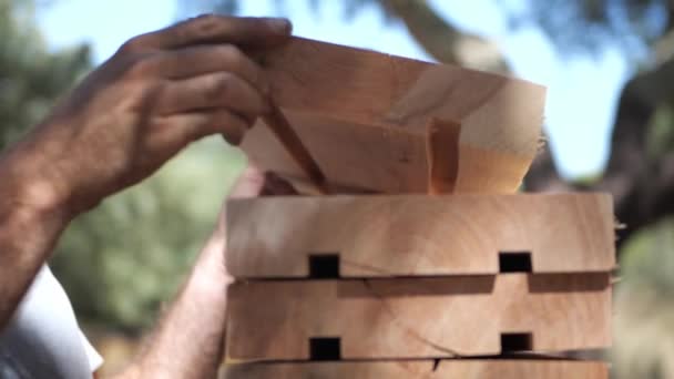 Man Stacking Wood Planks Rabbets Close Slow Motion — Video