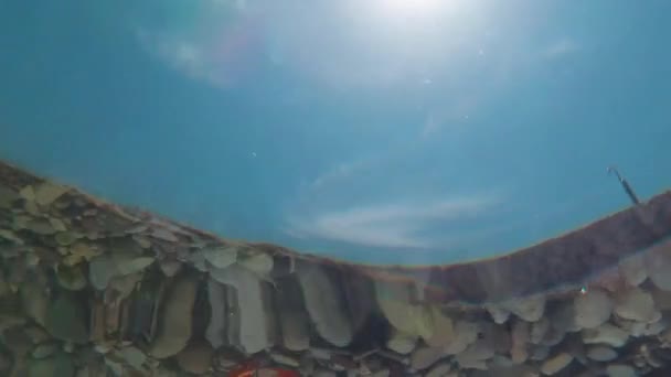 Hand Pick Plastic Piece Crystal Sea Water Underwater Shot Look — Vídeos de Stock