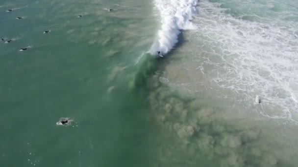 Rough Waves Splashing Surfers Palm Beach Gold Coast Qld Australia — Αρχείο Βίντεο