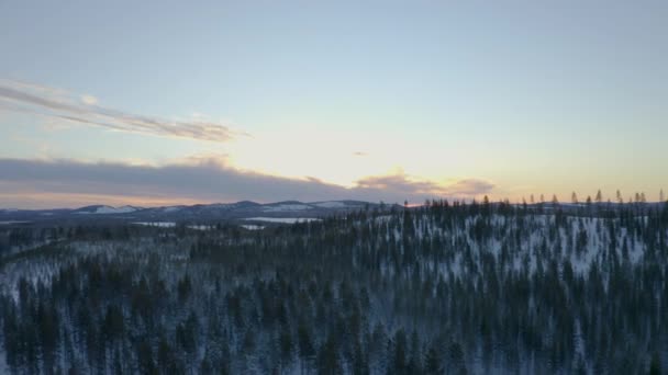 Sunrise Aerial View Slowly Flying Frozen Norbotten Lapland Winter Forest — Stock video