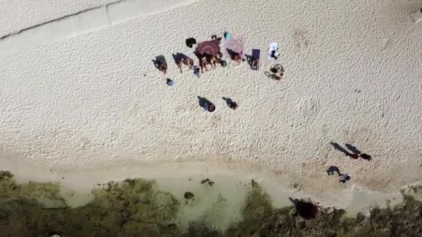 Aerial Shot Group Doing Ice Bathing Activity Beach Playa Del — Stock video