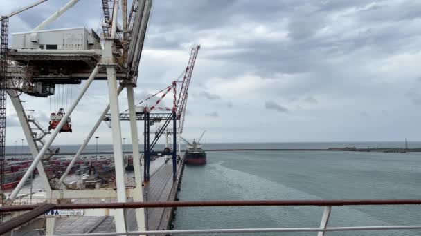 Container Cargo Heavy Duty Harbor Cranes Strong Ocean Currents Taken — Vídeo de stock