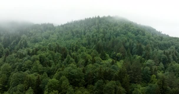 Greenery Lush Misty Forest Mountains Bakuriani Georgia Aerial Drone Shot — Stockvideo